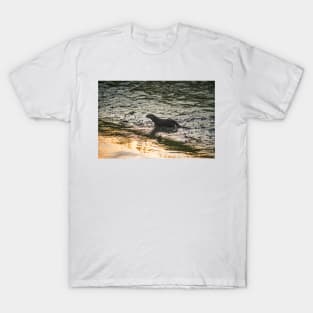 River Otter 2 T-Shirt